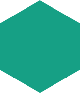 300 website đã thiết kế
